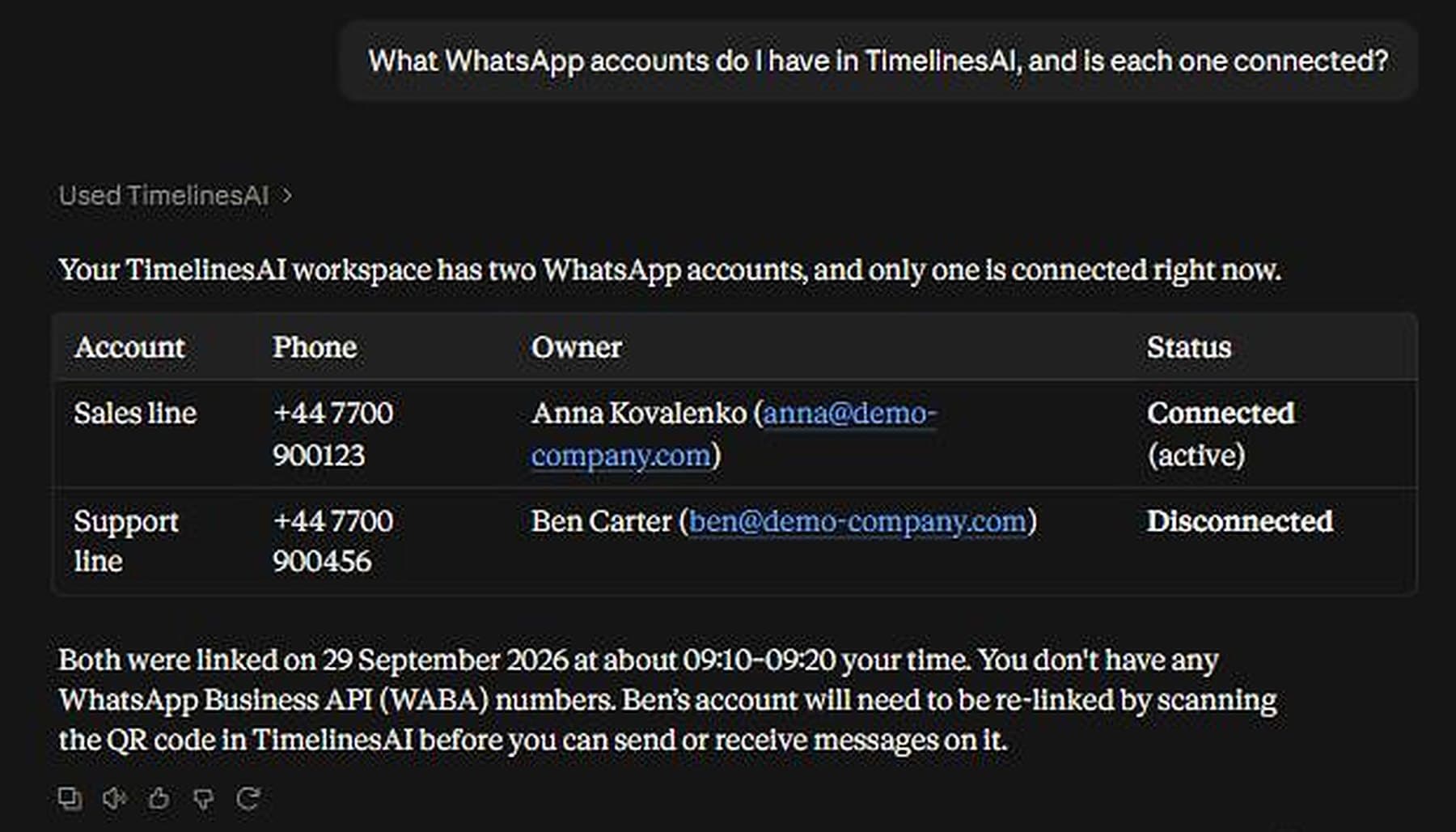 The assistant's first answer about the demo workspace